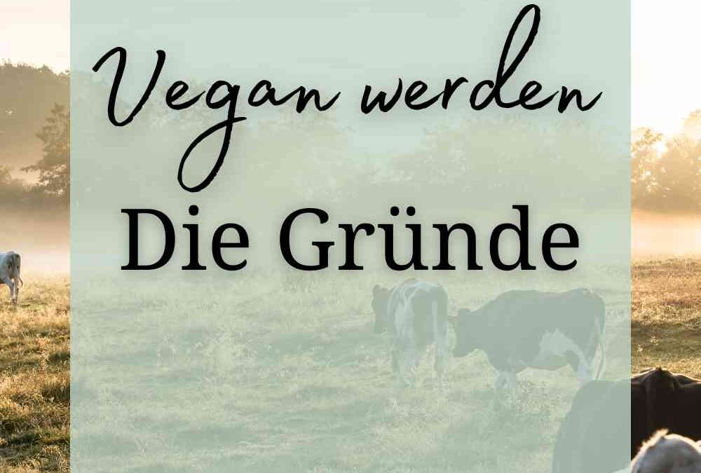 Warum leben Menschen vegan? | 3 gute Gründe für einen veganen Lebensstil