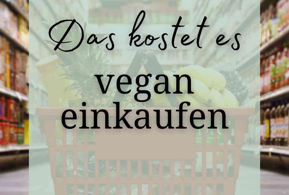 Ist veganes Essen teurer? | Das kostet 1 Monat vegan einkaufen