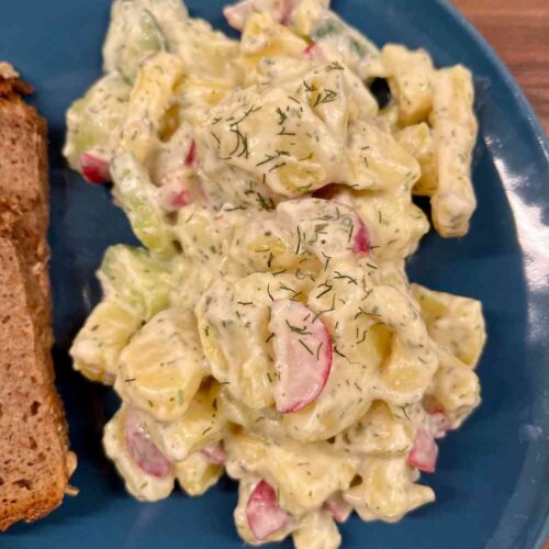 Veganer Kartoffelsalat mit Radieschen und Salatgurke, gewuerzt und dekoriert mit Dill. Angerichtet mit Vollkornbrot auf einem blauen Teller